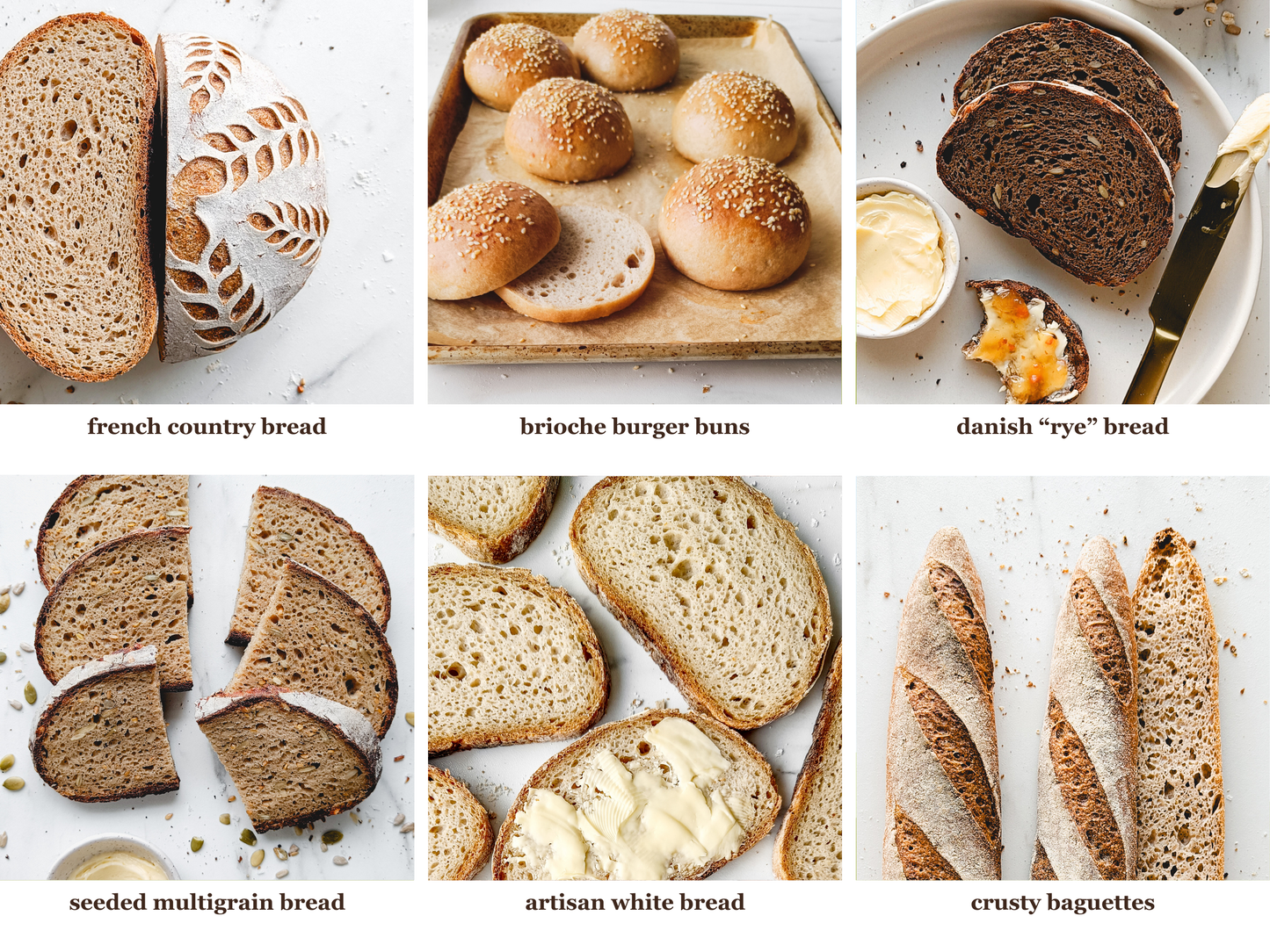 Mastering the Art of Gluten-Free Sourdough Baking (ENGLISH)