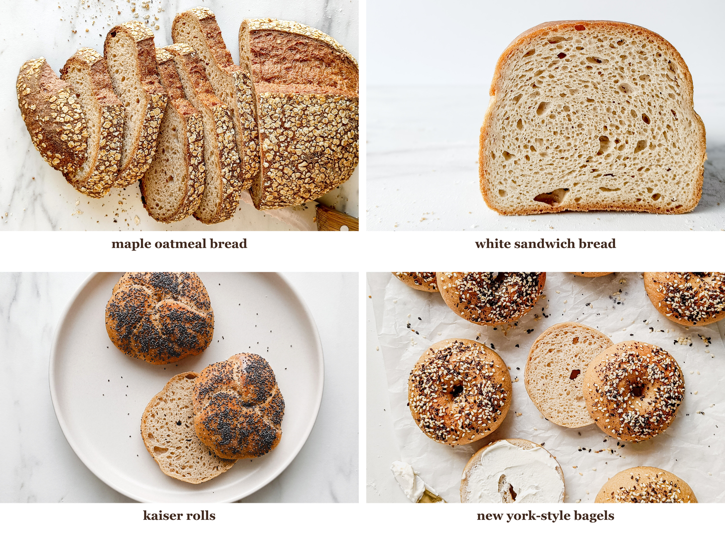 Mastering the Art of Gluten-Free Sourdough Baking (ENGLISH)