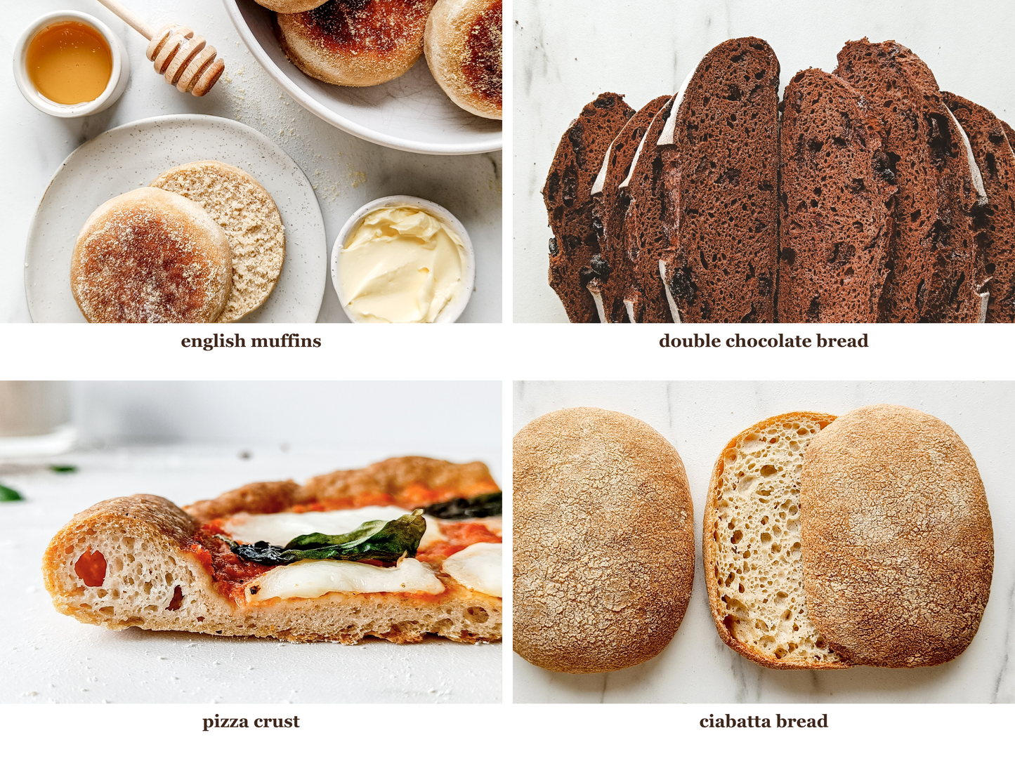 Mastering the Art of Gluten-Free Sourdough Baking (ENGLISH)